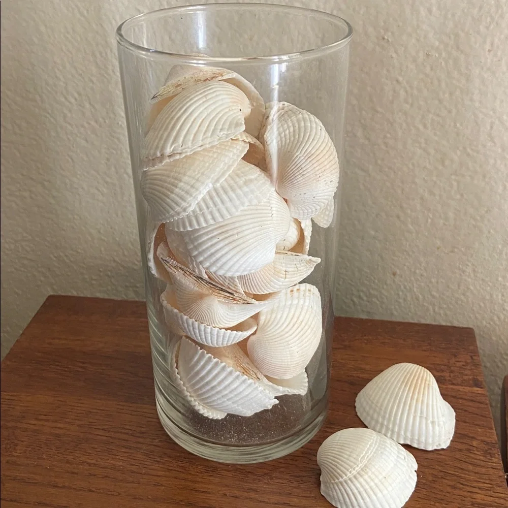 Vintage Seashells & Coral! In a Glass jar - Picture 3 of 7